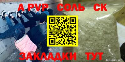 ECSTASY Нальчик